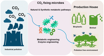 Graphical abstract: Recent advancements in microbial carbon dioxide fixation: metabolic engineering strategies