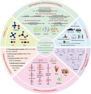 Graphical abstract: Microbial production of polyhydroxyalkanoates and lactate-based biopolymers from C1 resources: current advances and trends