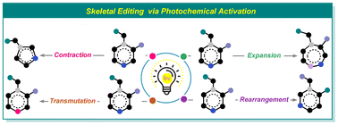 Graphical abstract: Photochemical skeletal editing: conceptual advances in C–C and C–heteroatom bond activation