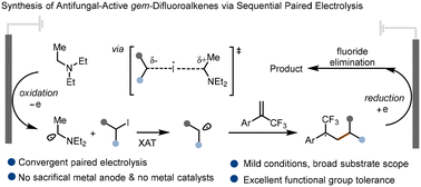 Graphical abstract: Sequential paired electrolysis-enabled synthesis of antifungal-active gem-difluoroalkenes via electrochemical halogen atom transfer
