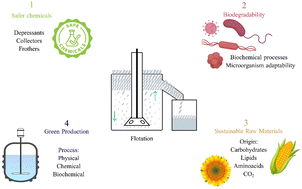 Graphical abstract: Shades of green: the path to flotation reagents development