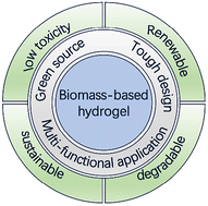 Graphical abstract: High-strength biomass-based hydrogels: mechanisms, applications and perspectives