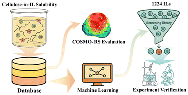 Graphical abstract: Machine learning-enabled screening and experimental validation of ionic liquids for highly efficient cellulose dissolution
