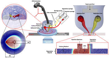 Graphical abstract: Twenty years of microfluidic probes and open-space microfluidics: from origins to emerging directions