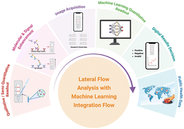 Graphical abstract: Machine learning-augmented lateral flow assays for point-of-care infectious disease diagnostics