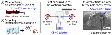 Graphical abstract: A roll-to-roll chitosan finishing strategy for elastane recovery