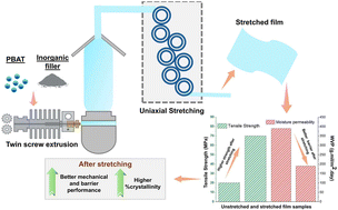 Graphical abstract: Study of uniaxially stretched single-layer and multi-layer blown films based on poly(butylene adipate-co-terephthalate) and inorganic fillers for food and agriculture applications