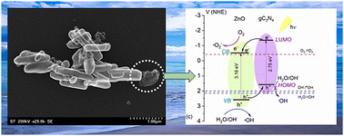 Graphical abstract: gC3N4 decorated with ZnO:Mn rods for enhanced photocatalytic performance