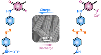 Graphical abstract: Low-activation-energy bipolar organic nanostructures for high-capacity and ultralong-life aqueous calcium-ion batteries