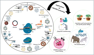 Graphical abstract: Engineering delivery platforms for CRISPR-Cas and their applications in healthcare, agriculture and beyond