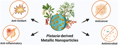 Graphical abstract: Green synthesis of metallic nanoparticles using Pistacia species: improved stability and biological activities