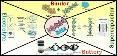 Graphical abstract: DNA-based hydrogels: a promising material for future energy storage applications