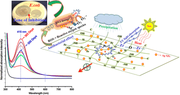 Graphical abstract: Long-term stability of Ag NPs in a room temperature cured SiO2–ZrO2 crosslinking hybrid robust coating towards enhanced weather resistance properties and its antibacterial applications