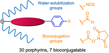 Graphical abstract: Synthesis of compact water-soluble bioconjugatable porphyrins for life sciences applications