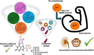 Graphical abstract: Theophylline-based NHC–Ir(i) complexes bearing fluorinated benzyl groups as potential anticancer agents