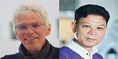 Graphical abstract: Themed collection: 12th International Mesostructured Materials Symposium (IMMS12)