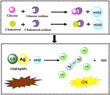 Graphical abstract: A green carbon dot@silver nanoparticle hybrid: as a turn-on fluorescent probe for the detection and quantification of cholesterol and glucose