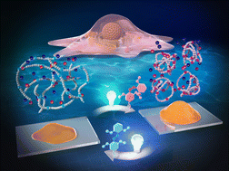 Graphical abstract: Stimuli-responsive liquid cell scaffold: reversible viscoelasticity switching of a polymer in an ionic liquid by visible-light