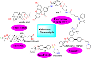 Graphical abstract: Three decades of selective product formation via Griesbaum co-ozonolysis: insight and advances (1995–2025)