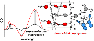 Graphical abstract: Supramolecular “sergeants”: in situ and multi-level induction of chirality in helical assemblies of triarylamine trisamide monomers