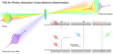 Graphical abstract: Direct determination of multiphoton absorption cross-sections by transient absorption spectroscopy