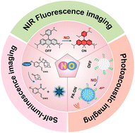 Graphical abstract: Organic probes for NO-activatable biomedical imaging: NIR fluorescence, self-luminescence, and photoacoustic imaging