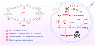 Graphical abstract: Rationally designed sonocatalyst-enhanced supramolecular ferroptosis inducers for effective cancer therapy