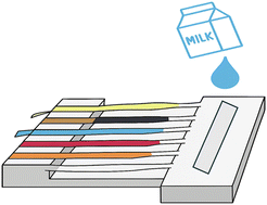 Graphical abstract: Portable paper-based microfluidic device for rapid on-site screening of milk adulterants