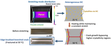 Graphical abstract: Pronounced effect of strain biaxiality on high-temperature behavior of strain-crystallizing elastomers