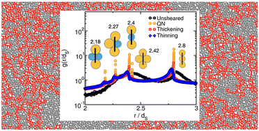 Graphical abstract: Disentangling microstructural elements of shear thickening suspensions via computer simulations of a minimal model