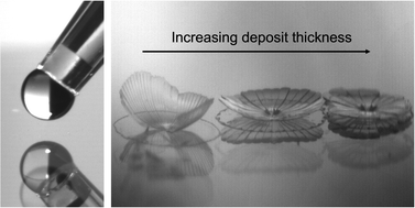 Graphical abstract: Delamination and out-of-plane deformation in drying colloidal suspensions