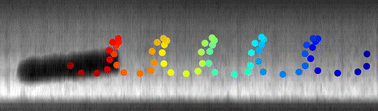 Graphical abstract: Propulsion of laser printed polymer micro-rods by a low frequency electric field in nematic liquid crystals