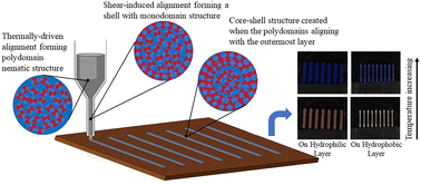 Graphical abstract: Interactions of thermochromic liquid crystals with surface-modified PET substrates for thermal sensing applications