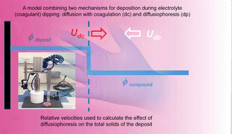 Graphical abstract: Mechanisms of electrolyte (coagulant) dipping for thin nitrile gloves