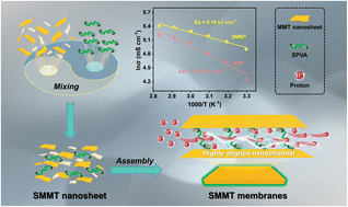 Graphical abstract: A dual-constrained assembly strategy of highly aligned two-dimensional montmorillonite membranes for efficient proton transport