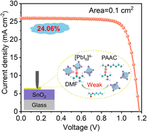 Graphical abstract: Weakening solvation via dipole interactions enables efficient and stable perovskite solar cells