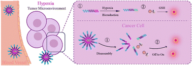 Graphical abstract: A redox-responsive NIR fluorescent nanoprobe for tumor microenvironment-activated surgical navigation with submillimeter precision