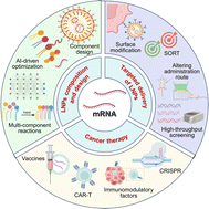 Graphical abstract: Lipid nanoparticle-mediated targeted mRNA delivery and its application in cancer therapy
