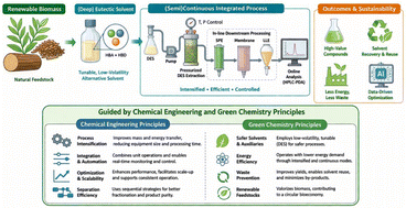 Graphical abstract: From batch to flow: integrating in-line (deep) eutectic solvents with sequential downstream processing for sustainable biomass valorization