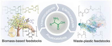 Graphical abstract: Heterogeneous catalytic synthesis of amino acids from biomass-based and waste plastic feedstocks