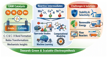 Graphical abstract: Sustainable organic electrochemistry: Earth-abundant metals (EAMs) in organic electrocatalysis