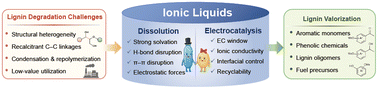 Graphical abstract: Ionic liquids for sustainable lignin biorefinery: from dissolution mechanisms to electrocatalytic upgrading