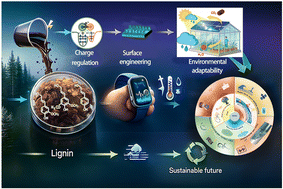 Graphical abstract: The impact and application of lignin fillers in triboelectric nanogenerators: from performance optimization to sustainable energy technology