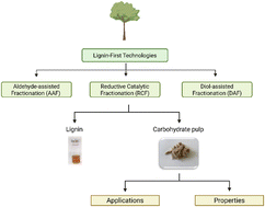 Graphical abstract: Carbohydrate pulp in lignin-first biorefineries: properties and applications: a perspective review