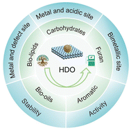 Graphical abstract: Design of bifunctional catalysts for hydrodeoxygenation of biomass-derived compounds