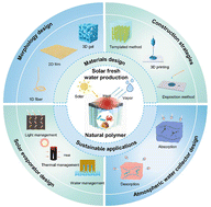 Graphical abstract: Biopolymer-engineered photothermal platforms for sustainable solar-powered water purification and harvesting