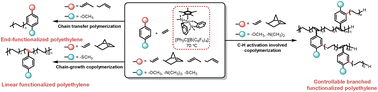 Graphical abstract: Synthesis of topologically controlled functional polyethylenes: combining C–H activation with copolymerization of ethylene and polar monomers using a scandium catalyst