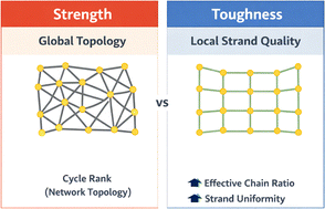 Graphical abstract: Decoupling the structural origins of strength and toughness in industrially relevant heterogeneous elastomers