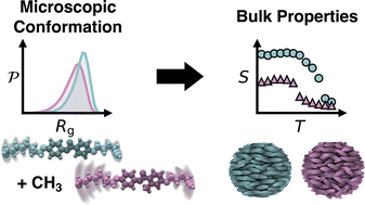 Graphical abstract: Molecular dynamics investigation of the impact of methylation on the nematic phase of phenyl benzoate mesogens and dimers