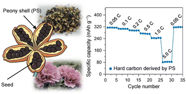 Graphical abstract: Low-cost and sustainable hard carbon derived from the peony shell for the stable sodium-ion anode